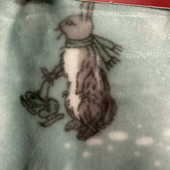 Pooh Bear Collection Christmas 30X40 plush baby blanket blue winter NEW Eeyore - Picture 7 of 7